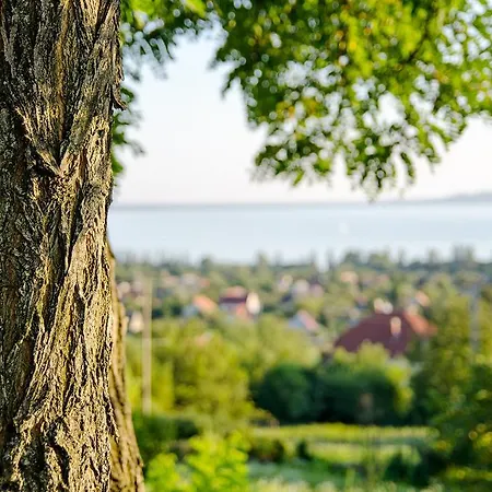 Hillside * Révfülöp