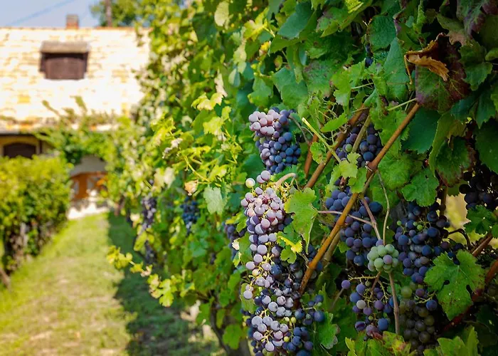 Apartamento Hillside Révfülöp